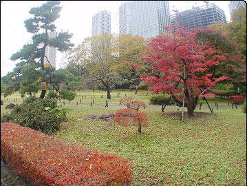 �u�l���{�����뉀�v