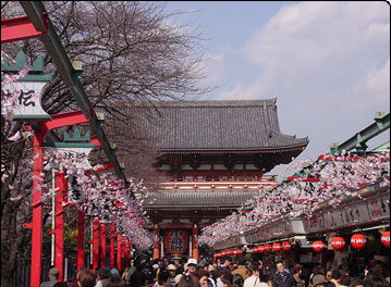 �u�󑐁E�������ʂ�v